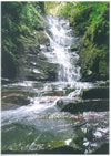 Ȃ