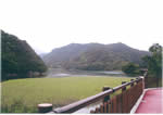 䂩