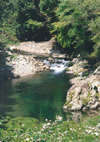 jII